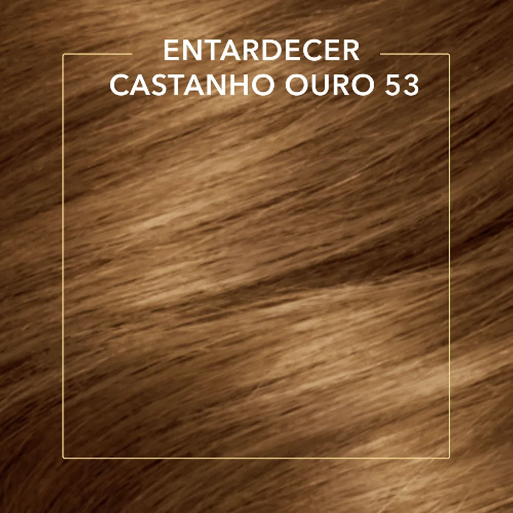 Tinta Koleston Noites Iluminadas Castanho Ouro 53 Coleção Por Ivete Sangalo
