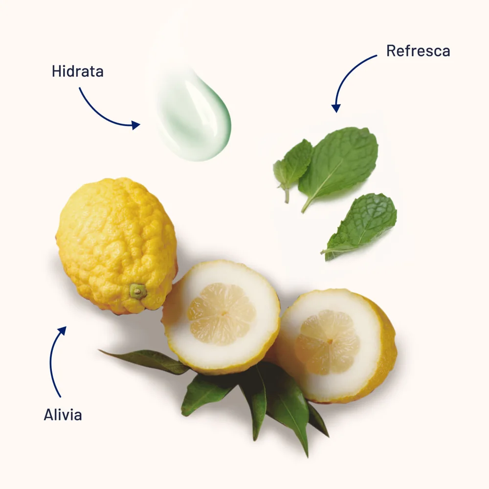 Creme Corporal Cedraflon Revitalizante com Cidra de Córsega e Mentol 150ml